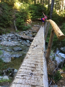 runner on log bridge