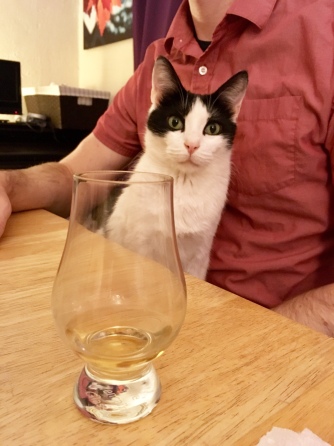 cat and whisky glass